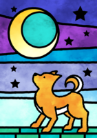 Shiba Inu looks up at the moonlit night