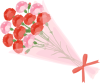 赤とピンク色の豪華な花束カーネーション