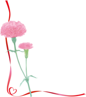 Fashionable beautiful pink carnation illustration (heart-shaped ribbon lower left corner decoration