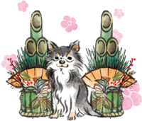 Year of the dog Chihuahua Japanese style (Kadomatsu) 2018 Zodiac illustration-front sitting