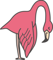 Flamingo bowing