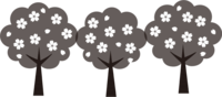 浅颜色的樱花树(黑白)