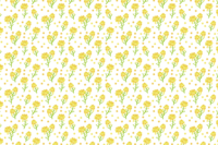 Rape blossom pattern-Background illustration-Spring