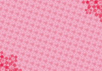 Cute traditional cherry blossom pattern background pattern