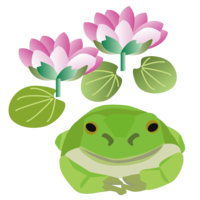 Lotus flower and frog