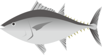 Tuna-Fish