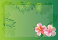 Hibiscus (simple) (Tropical plant green) Flower frame