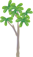 シンプルなビワの木
