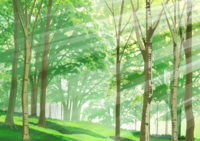 树木背景(绿色)插图/夏天