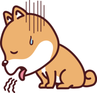 Shiba Inu sick and vomiting-cute dog