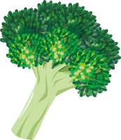 ブロッコリー-野菜
