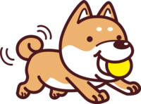 Shiba Inu holding a ball and fluttering its tail-Cute dog