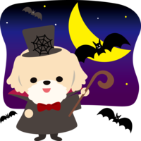 Halloween (Count Bat) Maltese (dog) cute animal