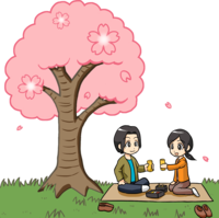 Men and women watching cherry blossoms under the cherry tree