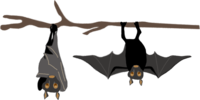 Bat's Simple Halloween (upside down on a branch)