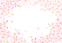 桜の花がおしゃれに咲く背景