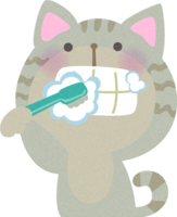 Toothpaste cat / medical / health