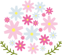 可爱圆形聚集的大波斯菊花