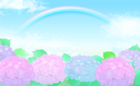 绣球花、时尚的蓝天和彩虹的背景