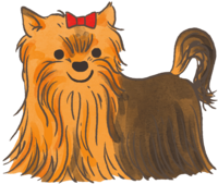 Yorkshire terrier (long red ribbon hair) Cute dog