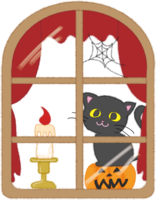 Cute Halloween cat (window)