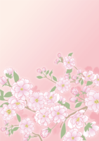 縦の和風(八重桜)背景フリーイラスト画像