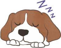 Beagle (sleeping face) cute dog