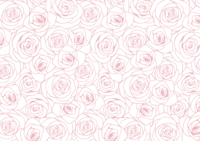 Rose background drawn with line art