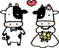 Cow in wedding costume-Cute 2021-Ox year