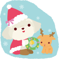 Maltese (dog) Santa Claus Christmas cute animal