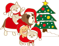 犬のかわいいクリスマス(ワンコたちのサンタクロース)