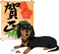 Miniature-Dachshund Dog-Kite-Dog Year 2018 Zodiac