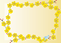 Winter jasmine-winter (January-March) Flower frame