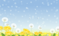 Fluffy dandelion-Background