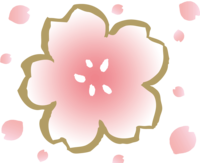 桜の花とたくさんの花びら-和風(筆-墨)桜