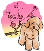 Year of the Dog-Toy Poodle Japanese Style (Plum) 2018 Zodiac Illustration-Front