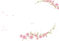 美丽的樱花花瓣
