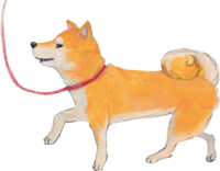 Shiba Inu walk-real handwritten style