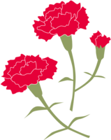 2 fashionable carnations and buds