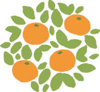 时尚圆状的橘子和叶橘子