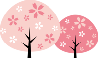 2色の桜の木-おしゃれ