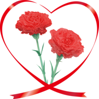 Fashionable and beautiful red carnation illustration (heart-shaped ribbon