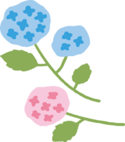 流动配置的蓝色和粉红色绣球花