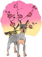 Year of the Dog-Miniature-Pinscher Japanese Style (Plum) 2018 Zodiac Illustration-Front