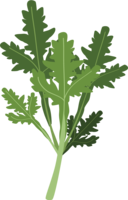 garland chrysanthemum-vegetables