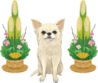 Chihuahua and Kadomatsu-Year 2018 Zodiac