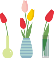 Fashionable tulips in various vases