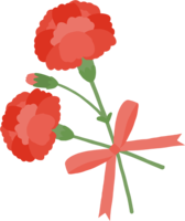 红色简单的花束康乃馨
