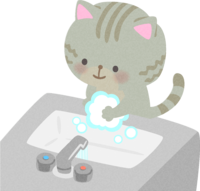 Hand-washing cat / medical / health
