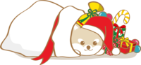 Cute Christmas (Shiba Inu Santa Claus in the present)